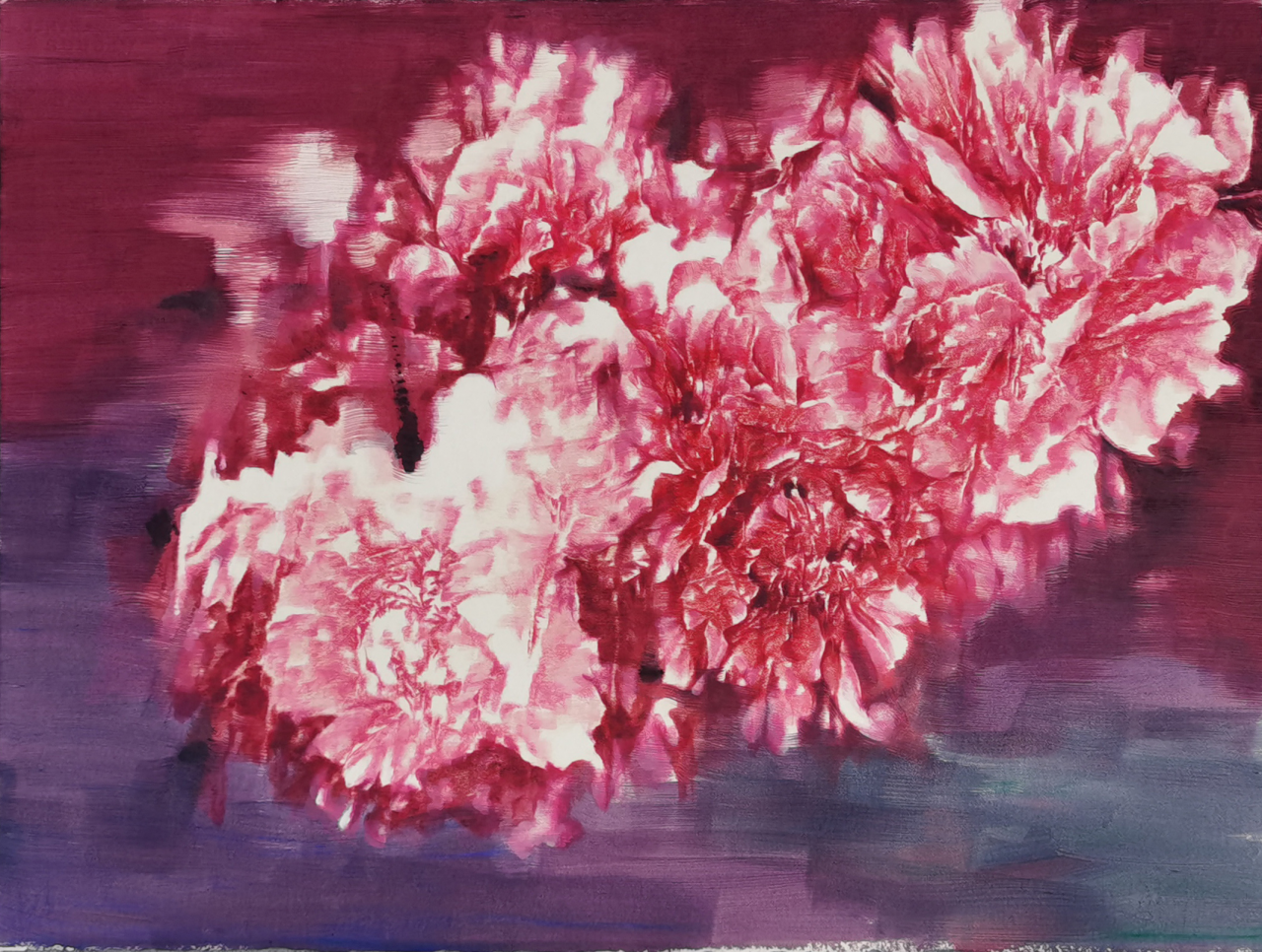 富貴2，纸本油彩，58×76cm，2023