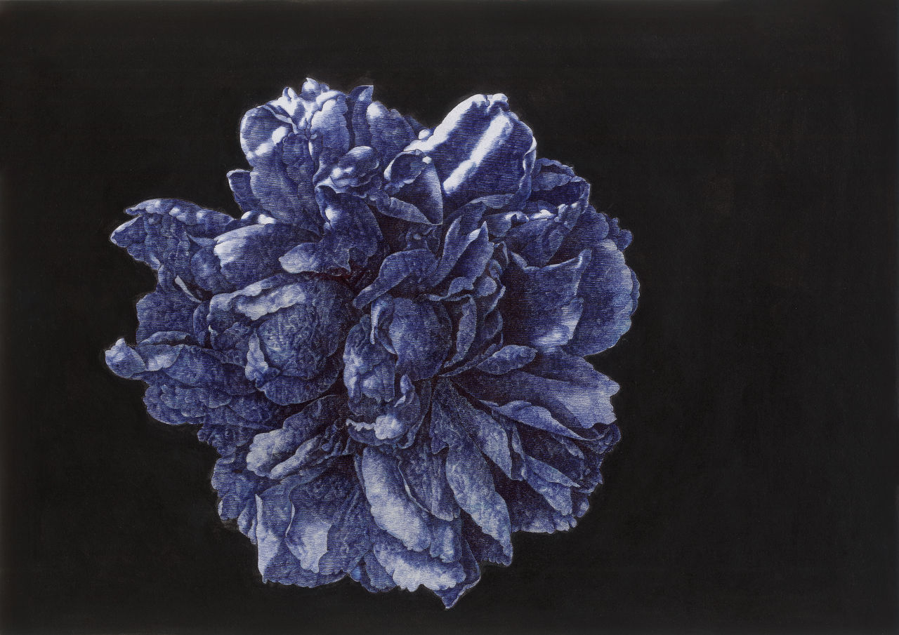 牡丹花下 2017 .11,油彩、圓珠筆,21×29.5cm,2017年